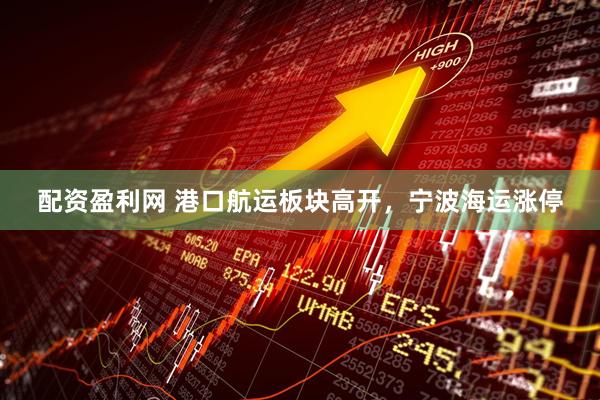 配资盈利网 港口航运板块高开，宁波海运涨停